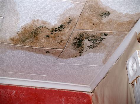 water leaking from ceiling vent|5 Causes of Water Stains on Ceilings and How to Fix。